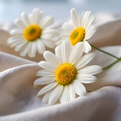 Fototapeta premium Elegant Daisies on Soft Fabric A Delicate Floral Composition for Spring and Summer Projects Featuring White Petals and Yellow Centers