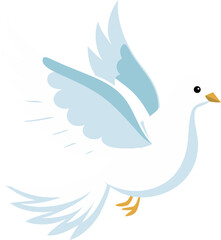 White dove
