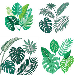 Tree Illustrator Artwork