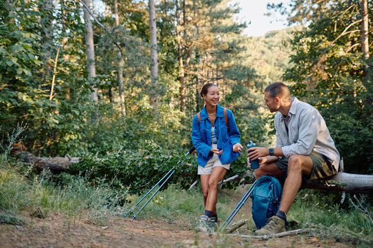Hikers resting on a fallen tree trunk, drinking water and chatting during their trekking day in the forest