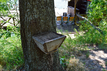 Rustic wooden dock with chairs and a thatched roof by a calm river, surrounded by green forest. Peaceful summer nature scene. riverbank diving platform