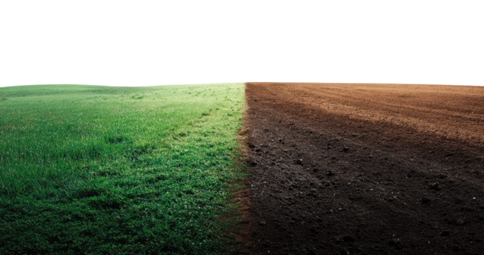 Field divided by a plowed furrow. Lush green grass on one side, dark brown tilled earth on the other