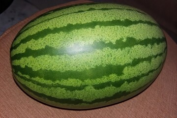 Whole and slice of ripe watermelon, heap of watermelon slices as background