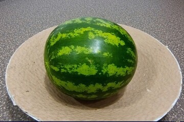 Whole and slice of ripe watermelon, heap of watermelon slices as background