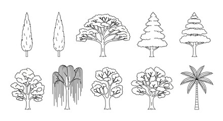 Obraz premium Tree Illustrations Line Art Drawing of Various Trees