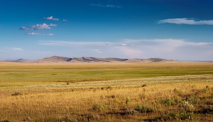 Fototapeta premium expansive steppe landscape in atyrau region kazakhstan under clear sky