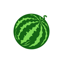 Refreshing Summer Slice: A vibrant, perfectly ripe watermelon, showcasing its rich green rind and inviting form, evoking feelings of summer and delightful refreshment.Watermelon on white background wi