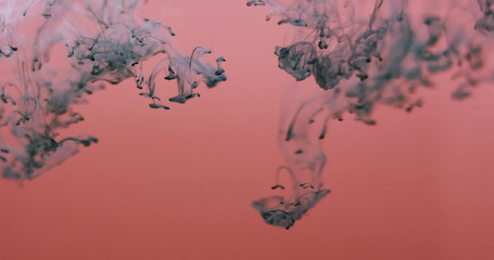 Smoke water. Mist paint drop. Gray ink dripping in liquid. Art blob dye haze dissolving defocused color explosion pink peach background.