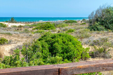 VIEW ACCESS TO THE BEACHES OF LOS ARENALES DEL SOL wooden walkways that are located on the dunes, ELCHE, ALICANTE, SPAIN, EUROPE
