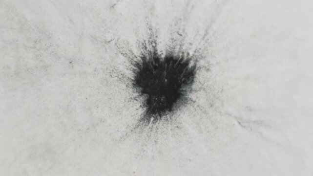 Paint blot transition. Grunge fluid explosion. Black pigment spill on white wet background. Defocused round contrast splotch abstract reveal.