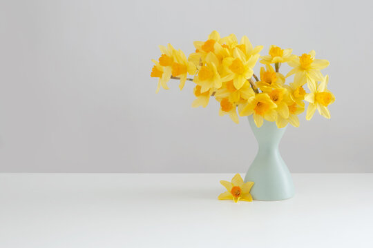 yellow spring flowers in green vase on white background