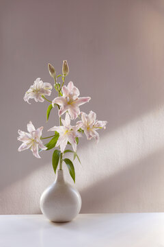 pink summer flowers in vase at home