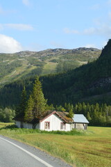 Trees growing from the roof of an old house by the road (Tuv, Norway)