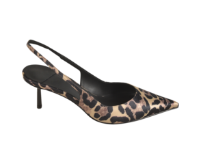 Women Stylish Leopard Print high heel stiletto shoe with white background,  This fashion-forward women’s footwear features a pointed toe and ultra-thin heel.
