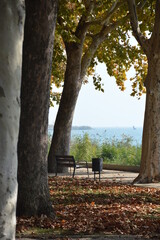Fototapeta premium park bench