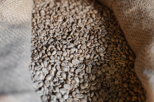 Unroasted coffee beans in burlap sack at shop