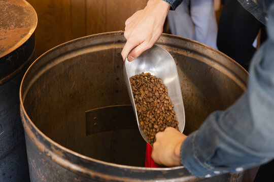 Coffee beans poured into roaster from metallic scoop