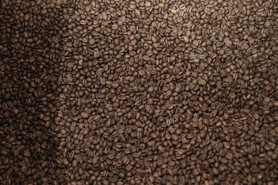 Freshly roasted coffee beans in abundance