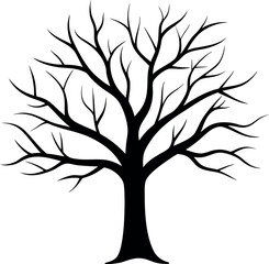 Obraz premium Bare Tree Silhouette