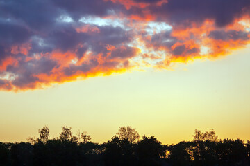 Fototapeta premium Colorful sunset sky with dramatic clouds over a tree line in the evening