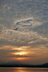 석양, sky, 바다, 구름, 버드, 태양, 네이처, h2o, 대양, 일출, 경관, 비행기, orange, 날기, 날다, 실루엣, 도망, 대패, 여행, 저녁, 햇빛, 오늘밤, 항공기, 수평선