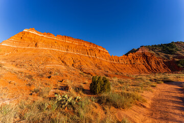 Stunning View of Palo Duro Canyon in Texas with Red Rock Formations Under a Clear Blue Sky