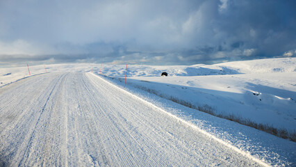 Obraz premium Snow street