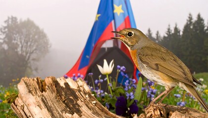A robin perched on a log in front of a tent in a misty mountain landscape