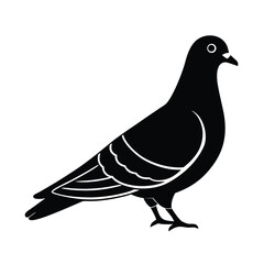 pigeon--.eps