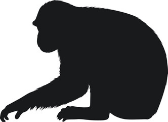Obraz premium Vector art of silhouette of a monkey sitting down with its arm extended in a simple and elegant vector illustration