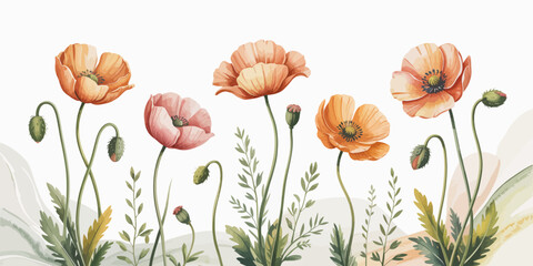 Elegant Watercolor Painting of Peach and Pink Poppies with Green Foliage.