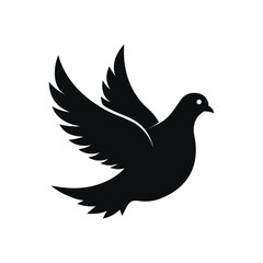 dove on white background