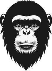 Fototapeta premium Vector art of detailed monochrome vector illustration of a chimpanzee head with an intense gaze and thoughtful expression against a plain backdrop