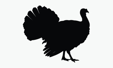 Turkey bird silhouette, wild fowl outline, poultry black vector, farm animal clipart