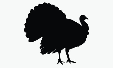 Turkey bird silhouette, wild fowl outline, poultry black vector, farm animal clipart