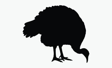 Turkey bird silhouette, wild fowl outline, poultry black vector, farm animal clipart