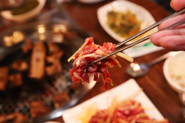 Traditional Korean food. raw beef sashimi