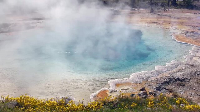 Steam rising from boiling hot water in the colourful Celestine Pool on the Fountain Paint Pot Trail in the Lower Geyser Basin in Yellowstone National Park. 