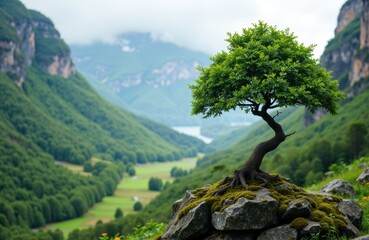 A solitary bonsai tree grows on a rocky outcrop overlooking a lush green valley with mountains in the background