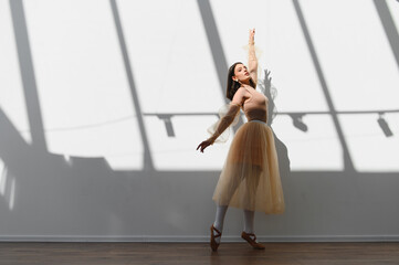 Ballerina dancing gracefully in sunlit studio with window shadows