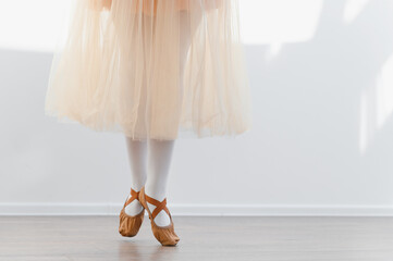 Ballerina girl practicing ballet in dance studio wearing tutu and pointe shoes