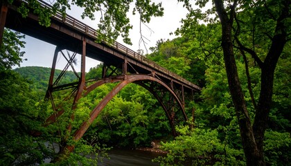 Fototapeta premium Rusty metal arch bridge over a river, surrounded by lush greenery