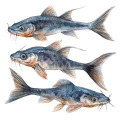 A hand-drawn watercolor painting of catfish set painting style, featuring delicate brush strokes, isolated on a white background, artistic, painted design, EPS format, fish collection