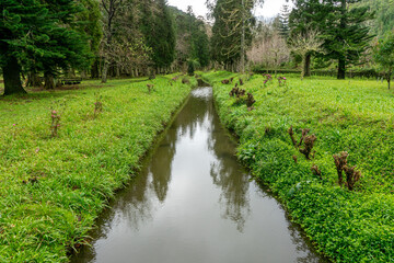 Tranquil stream flowing through lush green fields in the Azores, Portugal. Serene rural landscape with vibrant nature and peaceful atmosphere.