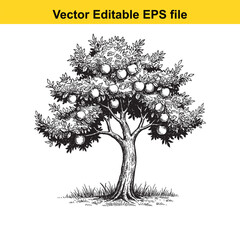 Obraz premium Vector art of apple tree with ripe fruit, isolated on white background 