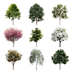 Fototapeta premium Collection of various tree types