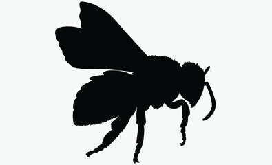 Bee silhouette, bee silhouette illustration isolated on a white background 