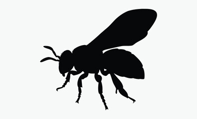Bee silhouette, bee silhouette illustration isolated on a white background 
