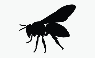 Bee silhouette, bee silhouette illustration isolated on a white background 
