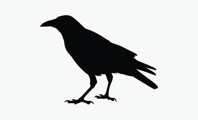 Crow silhouette bird, Vector, isolated black silhouette bird, crow collection 